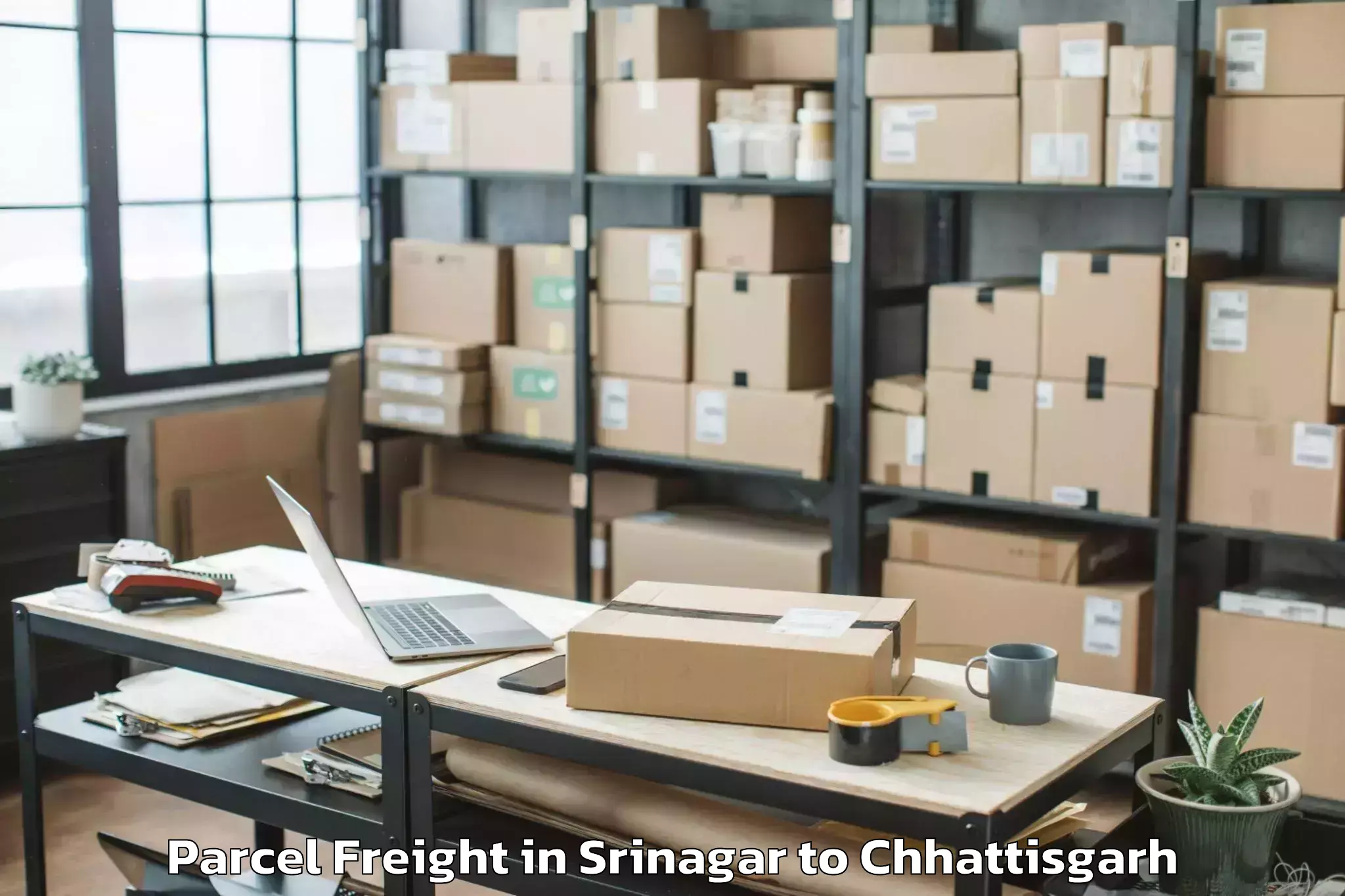 Discover Srinagar to Raigarh Parcel Freight